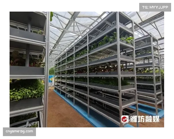 棒球场屋顶垂直农业创新模式 实现蔬菜种植与球队餐厅循环利用系统 棒球场屋顶垂直农业创新模式 实现蔬菜种植与球队餐厅循环利用系统