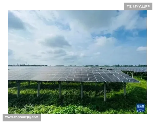 可持续发展理念融入欧冠运营,新能源车队与绿色球场倡议推进